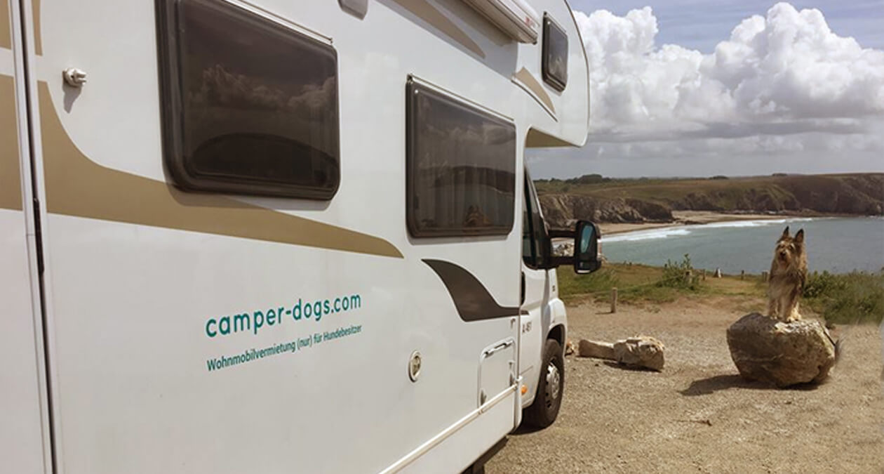 Camping mit Hund – das solltest du beachten