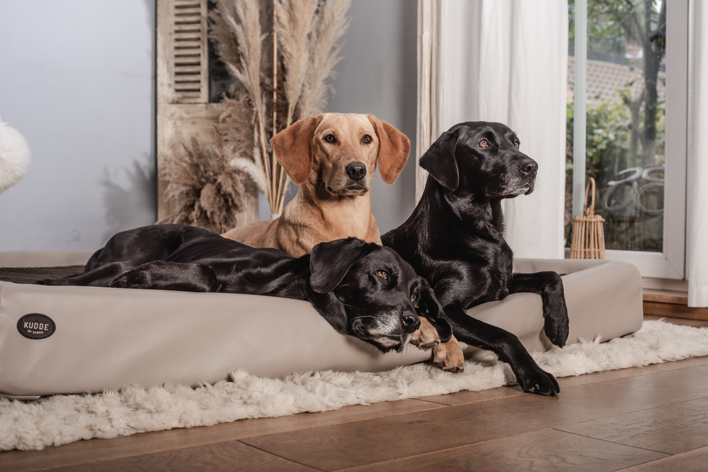 Sabro KUDDE moon mit drei Labbis