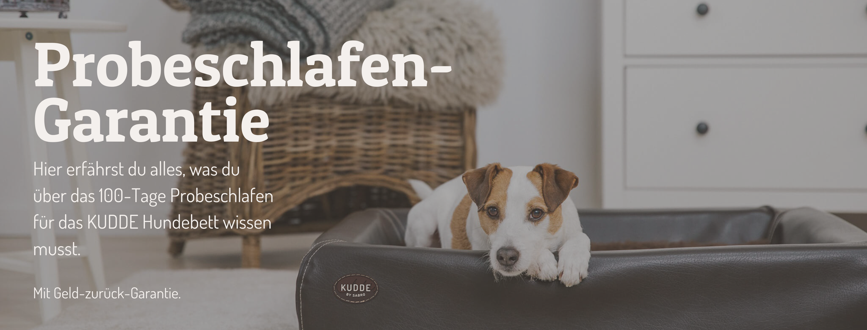 Hero-Probeschlafen_Desktop