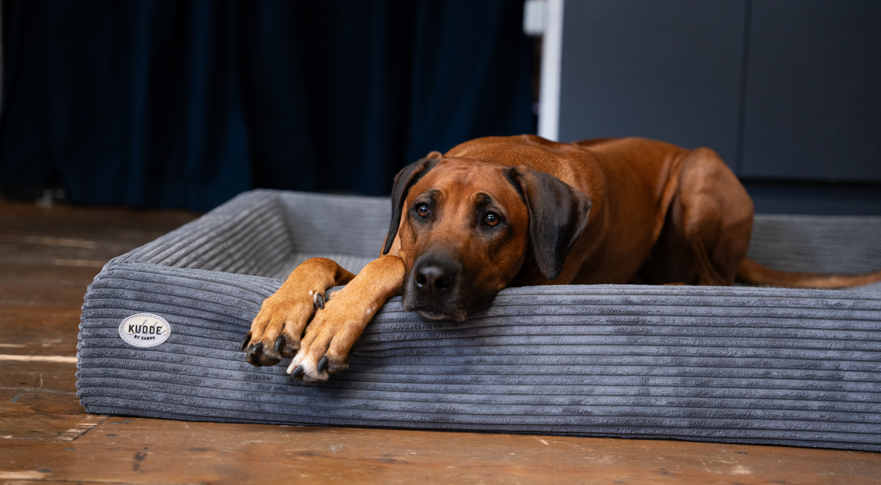 Blog-Schlafphasen-Hero