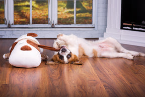 Ankuschelhund TOBI