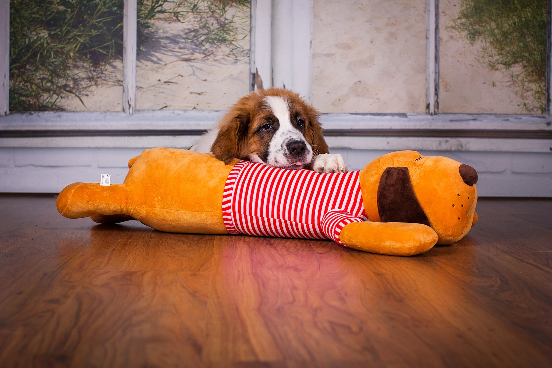Ankuschelhund TOMTE