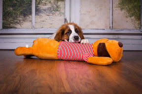 Ankuschelhund TOMTE