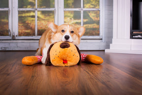 Ankuschelhund TOMTE