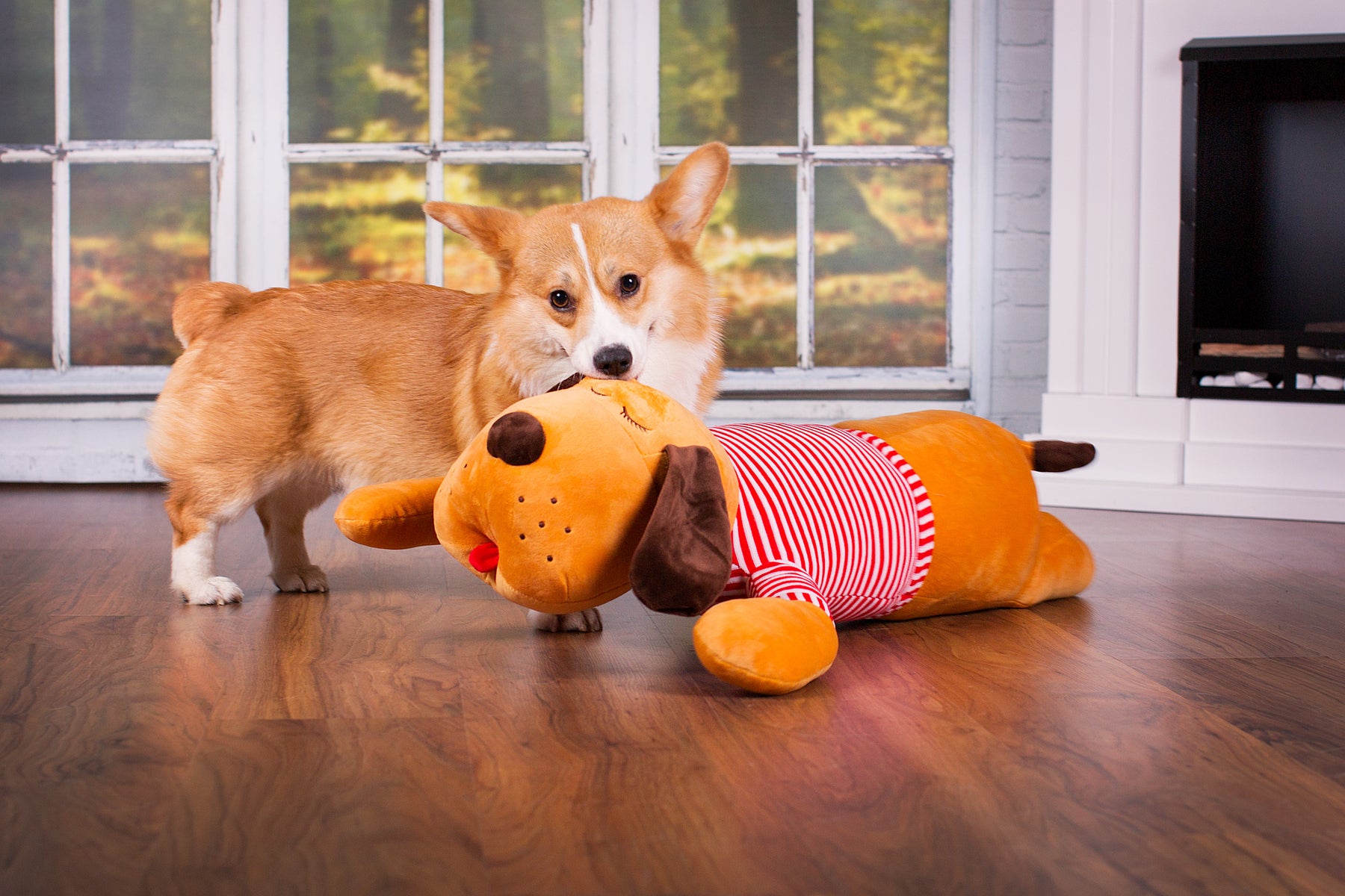 Ankuschelhund TOMTE