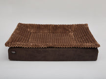 cacao