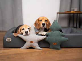 Kuschelkissen Set TANNE & STERN Bouclé